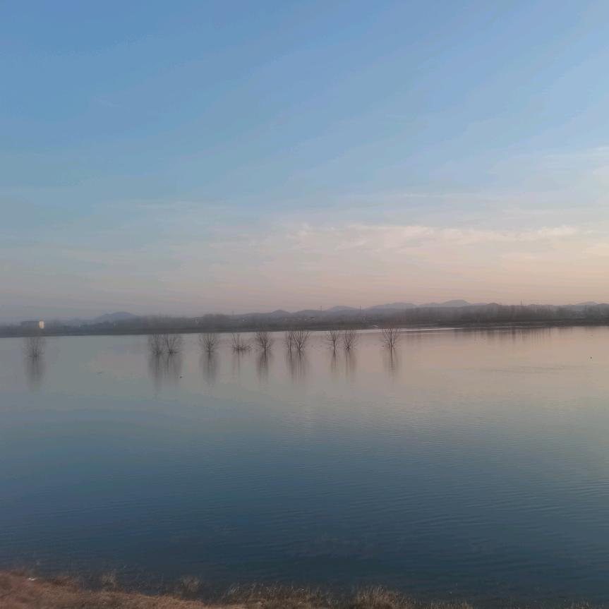 龙游鹤啸九天
