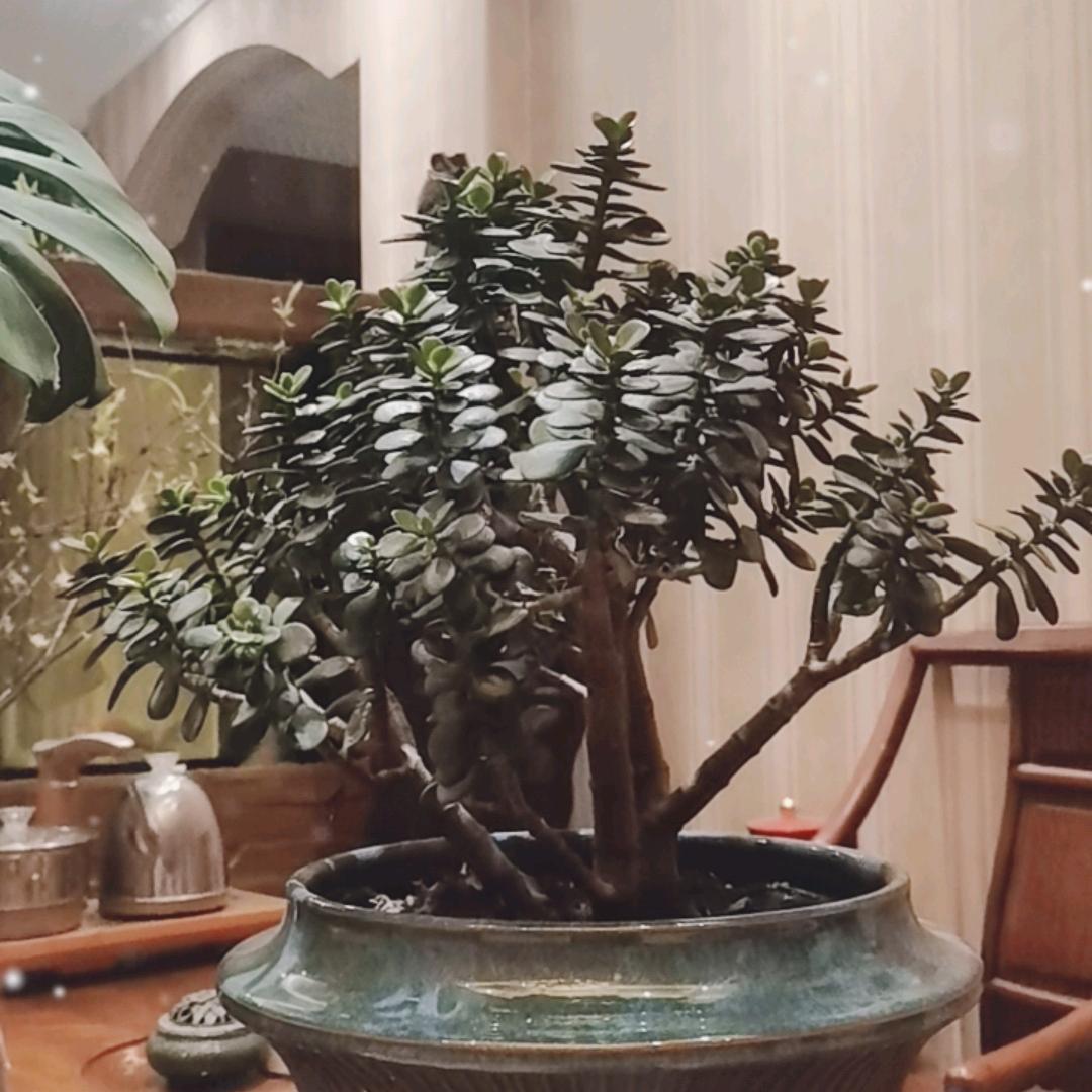 好人（一生平安）