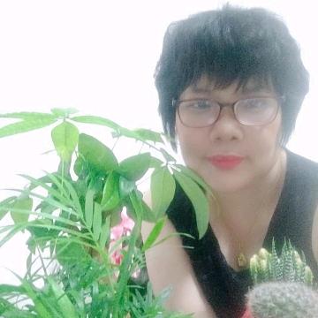 开浪的网友