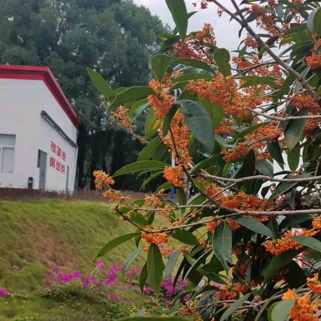 保存记忆