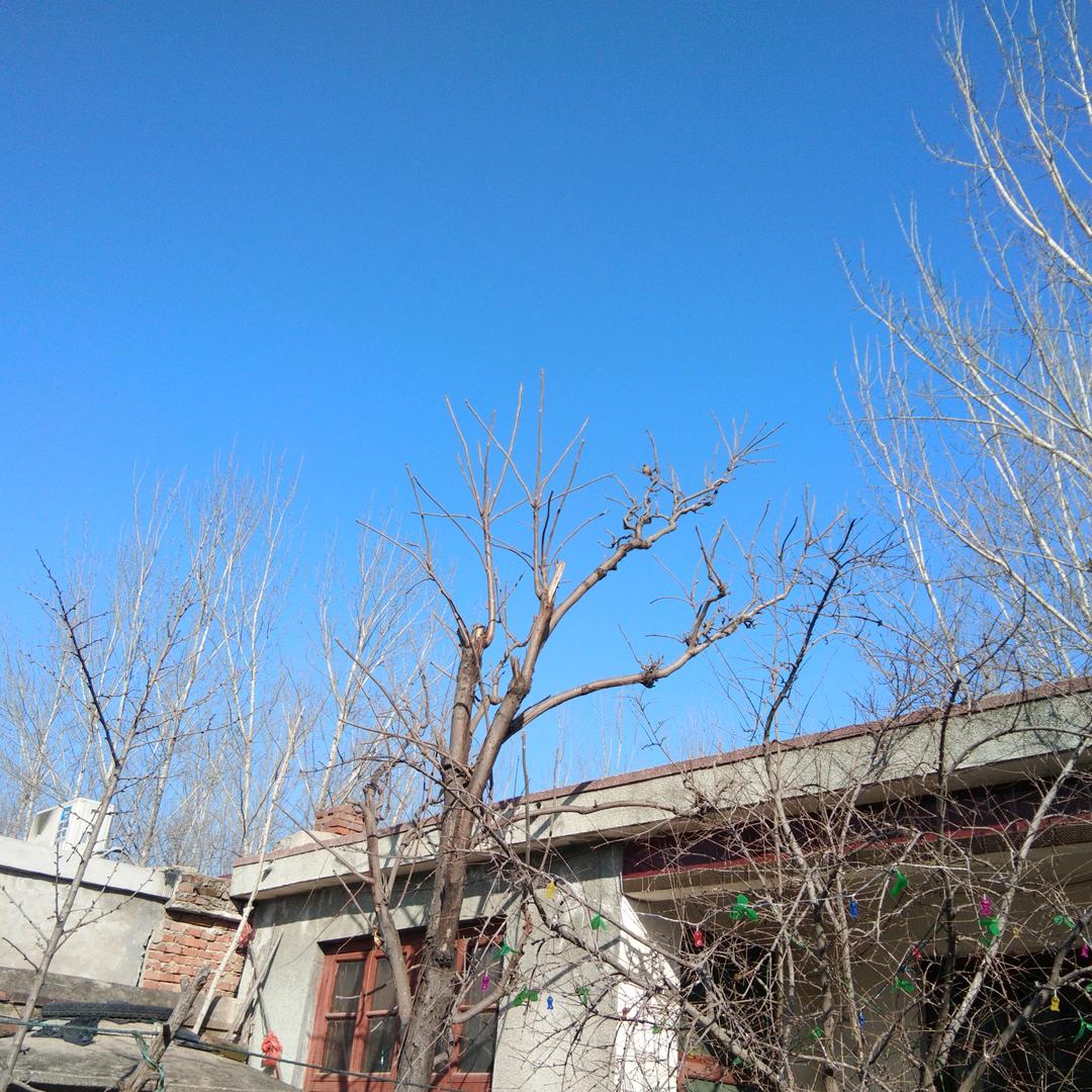春花秋拾