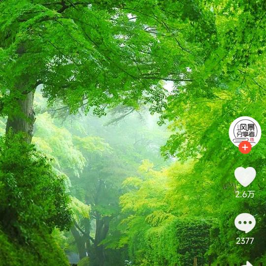 快乐每一天🌈🌈