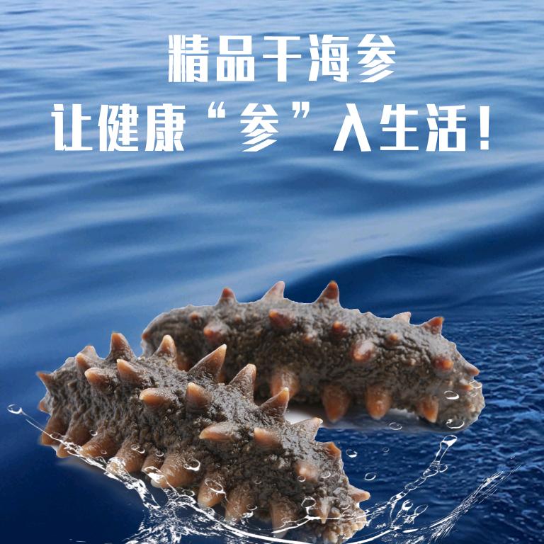 大鑫货栈国际贸易有限公司