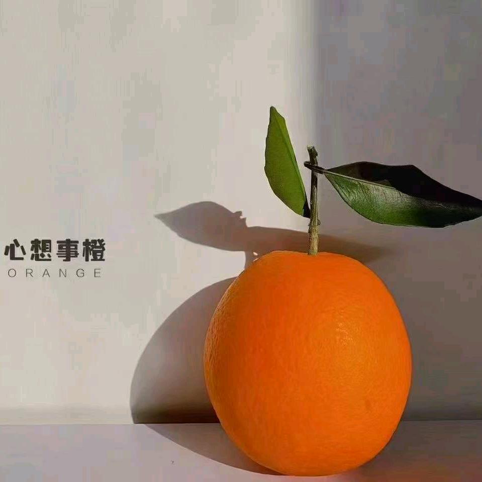 繁星小窗（好物优选）