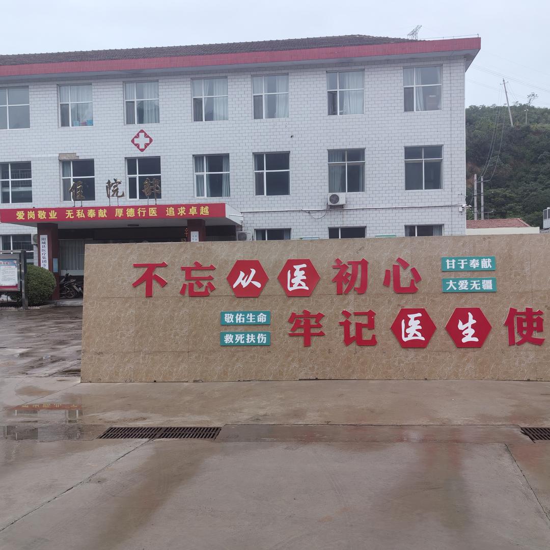 真心实意