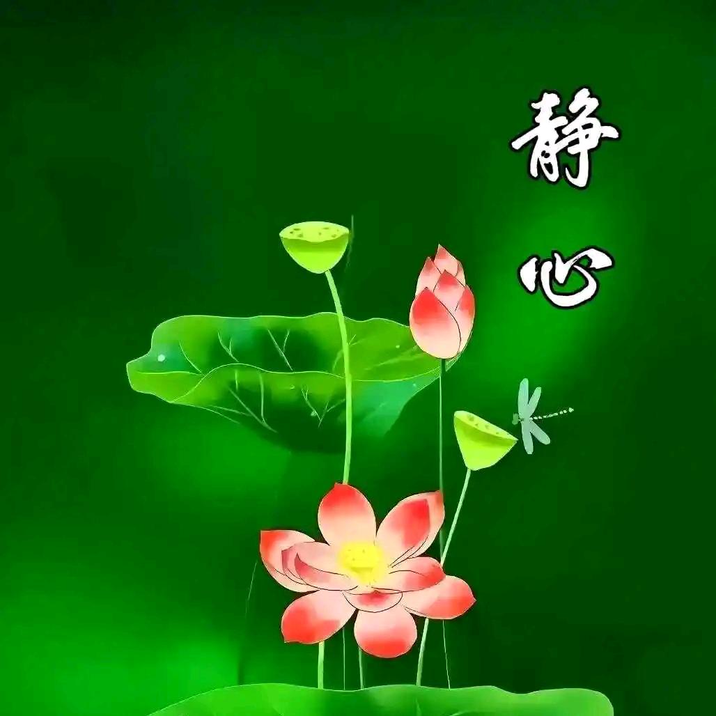 静心