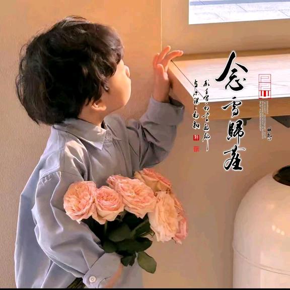念雪归尘