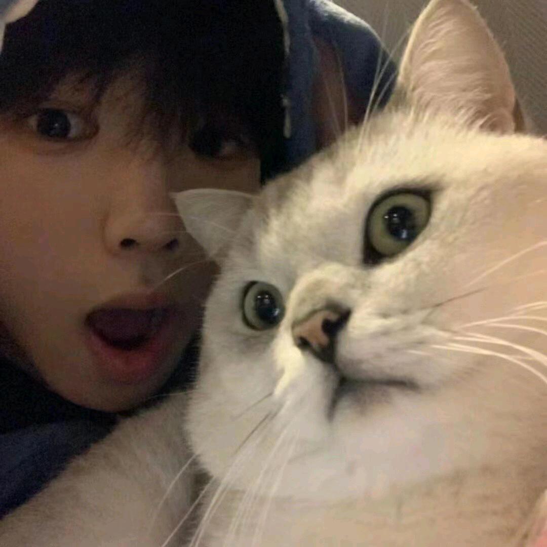 6128