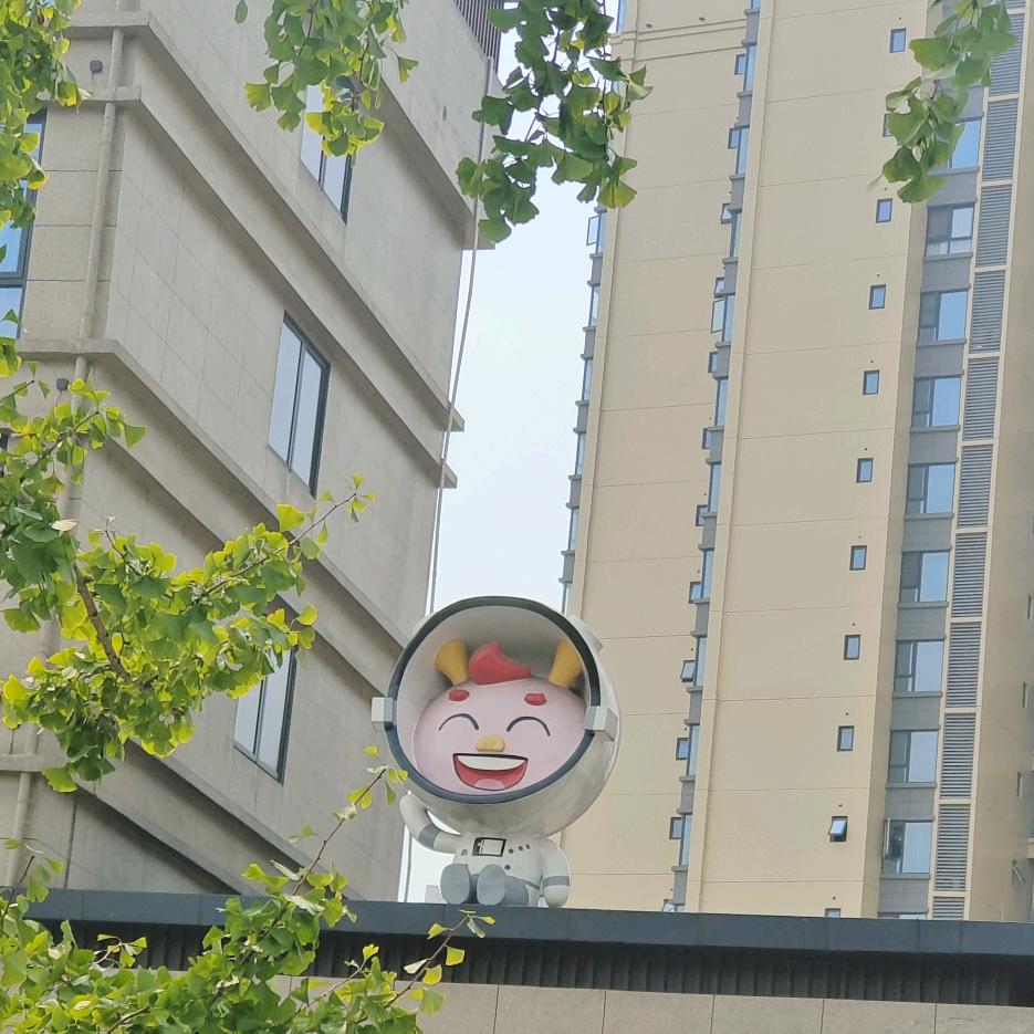宜宾粉笔校长(日常分享)