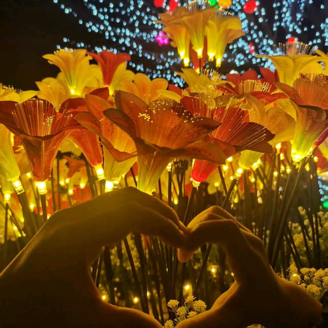 七月(真诚活跃)