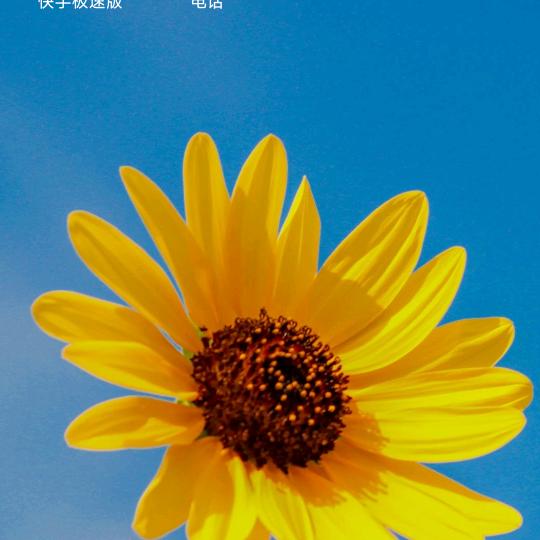 心静。