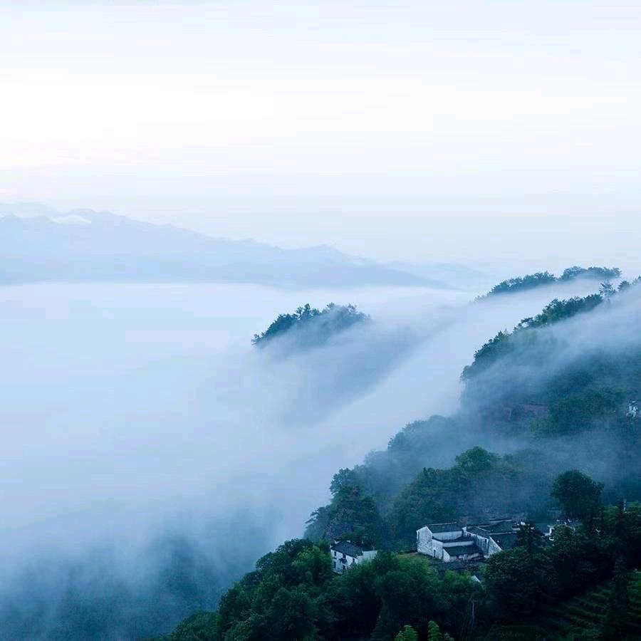 韩大白