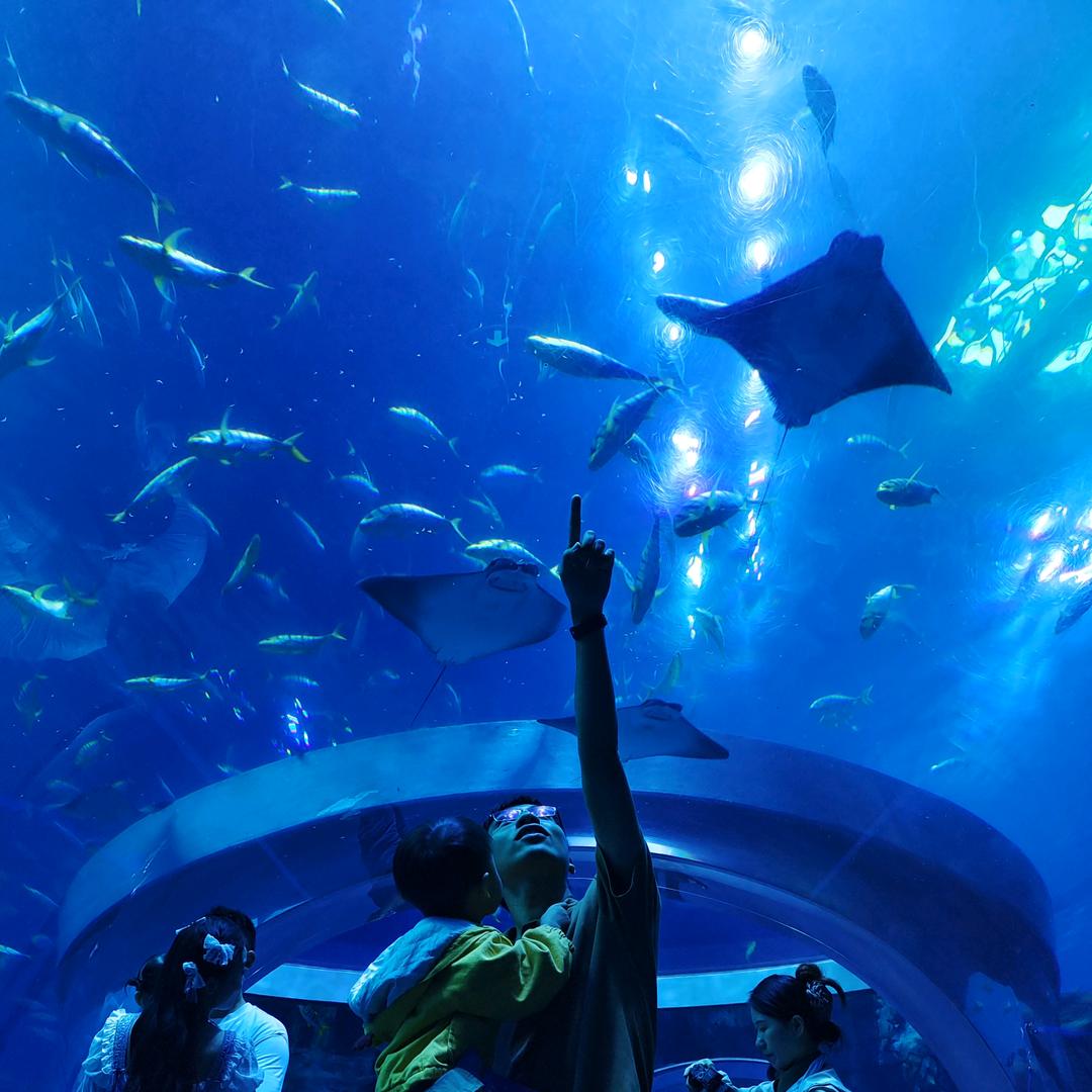 静谧空间打造官静静