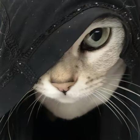 只是过客.