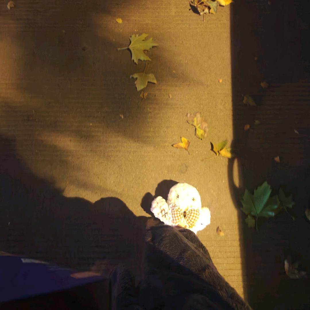 图图想要没烦恼