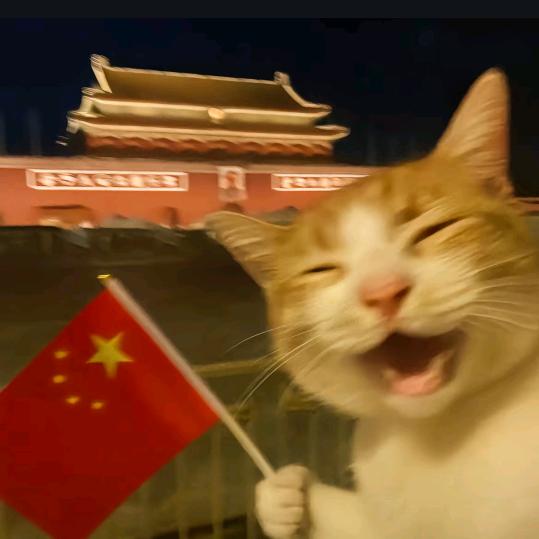 下次再主动吧