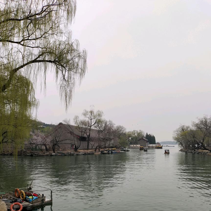 我是你的小苹果