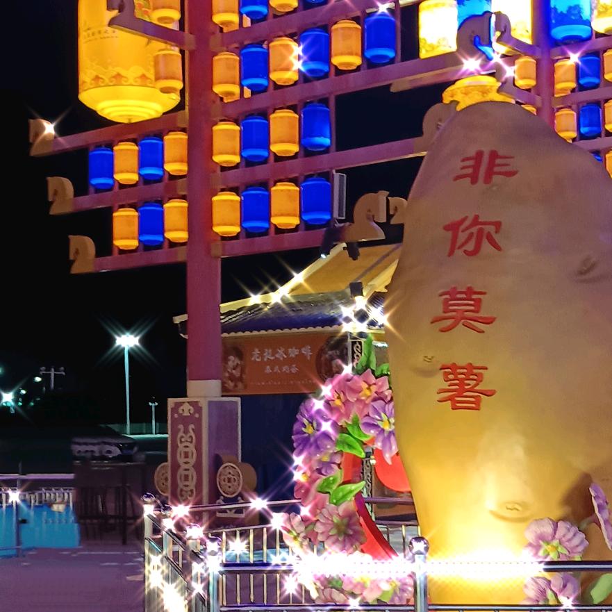 陈蒙厚爱，一王情深