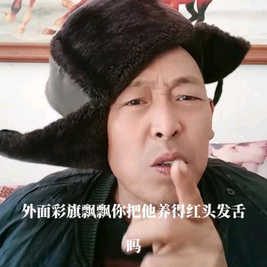 叶南客