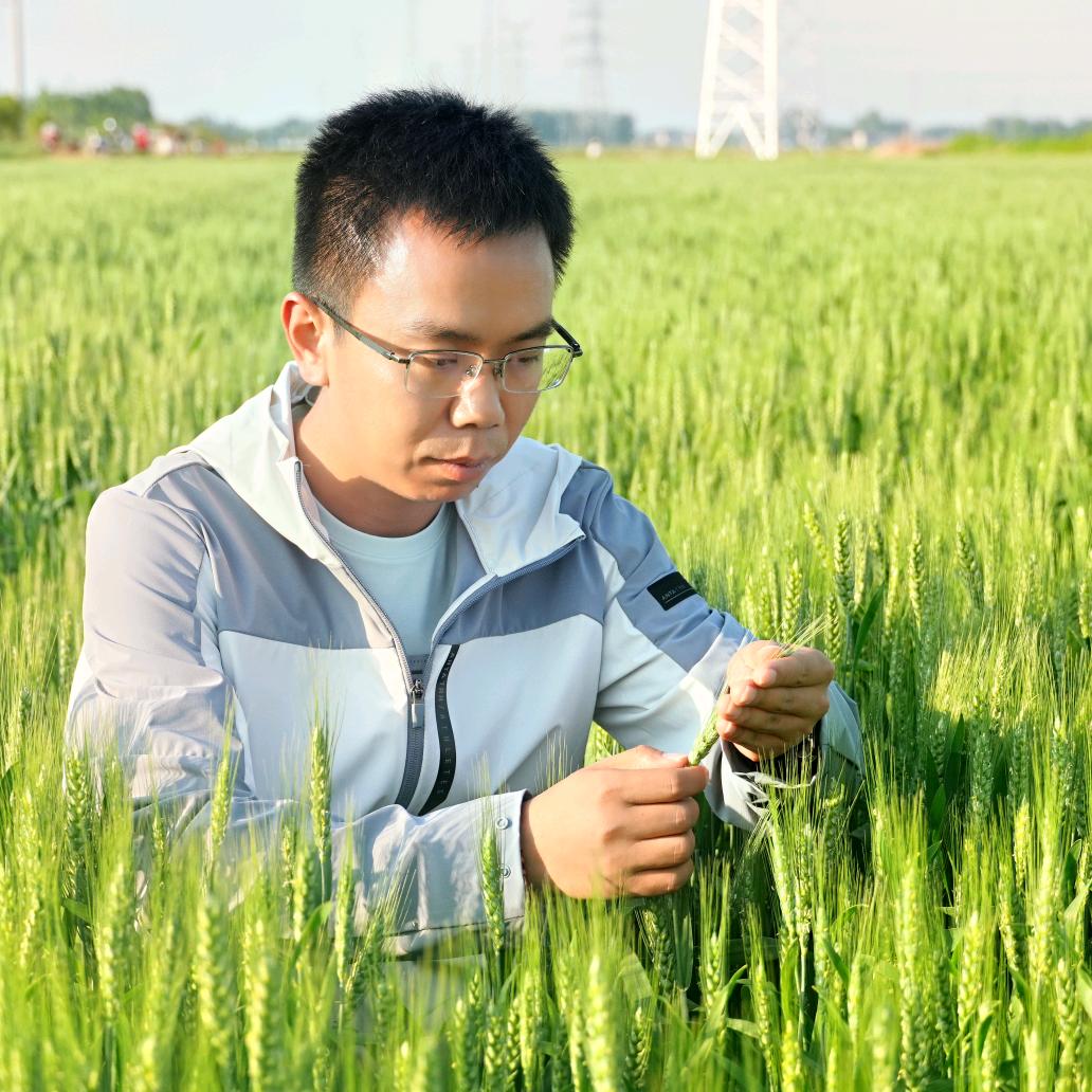 种田找金牌农服