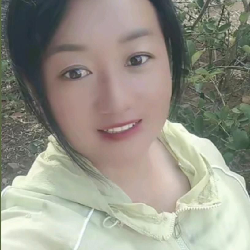 自由飞翔