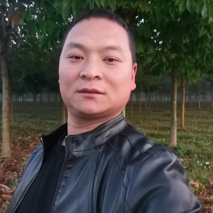 七叶树林木种植行