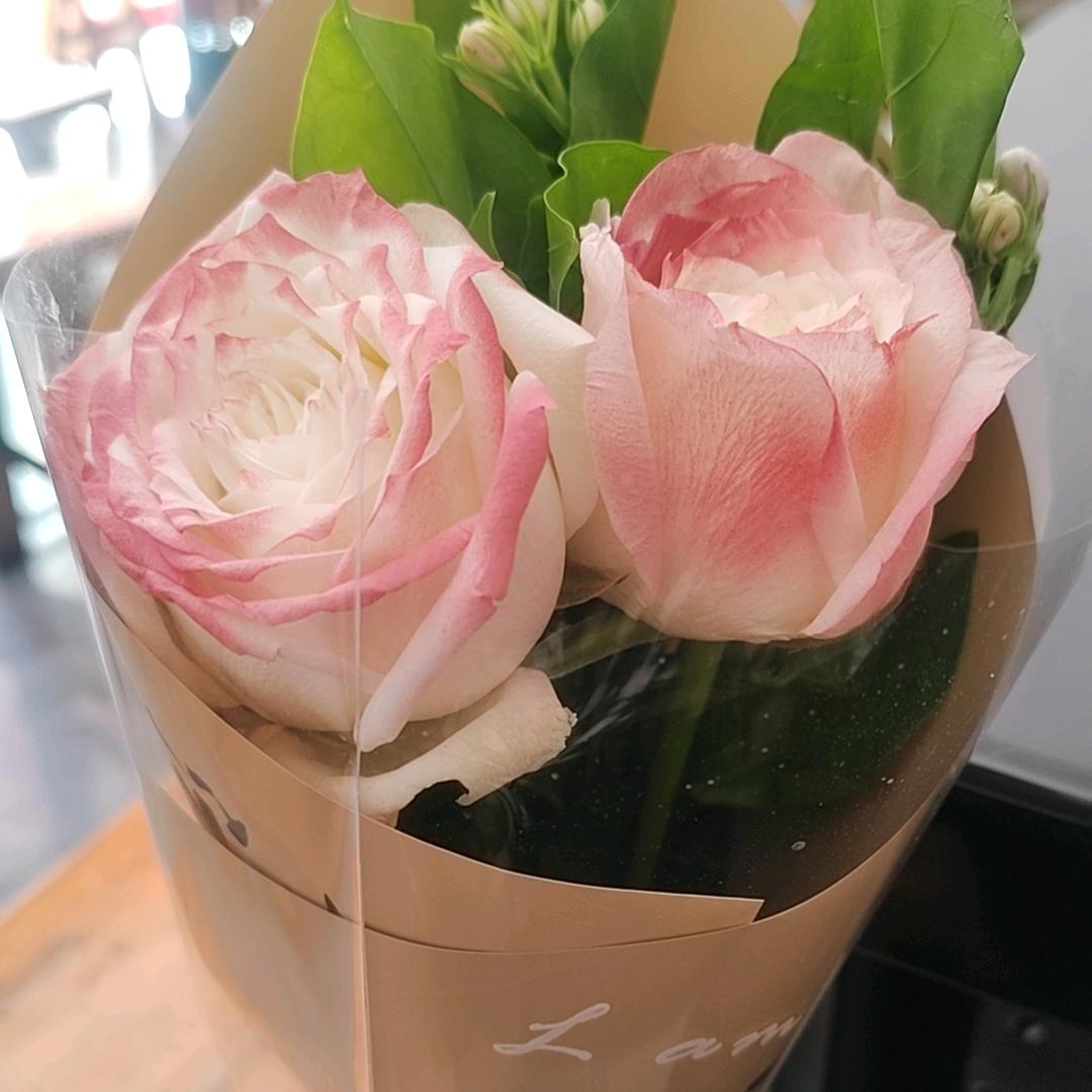 ´ღ᭄啊ꫛ冉💞᭄ྀ/。。