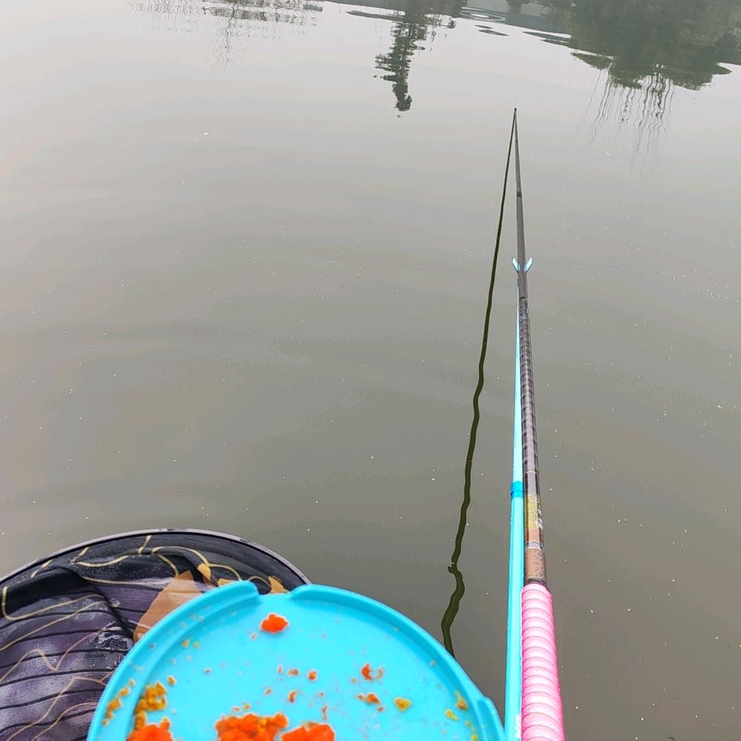 快乐钓鱼🎣