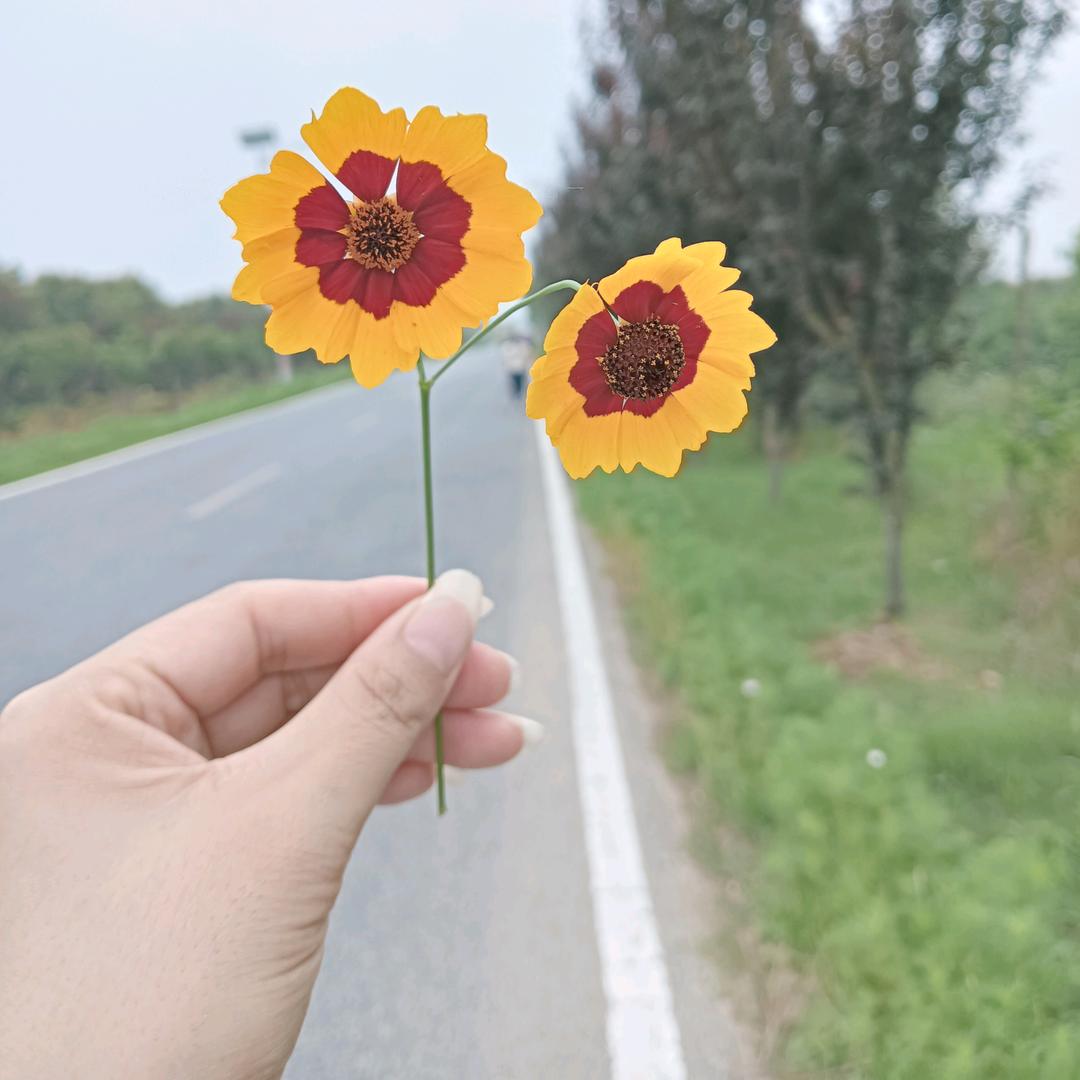 盼