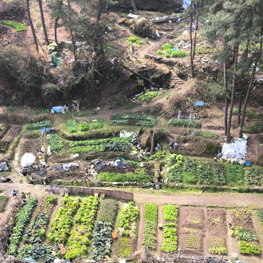 春满乾坤福满门