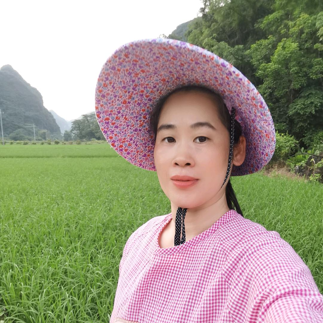 天等杏一姐