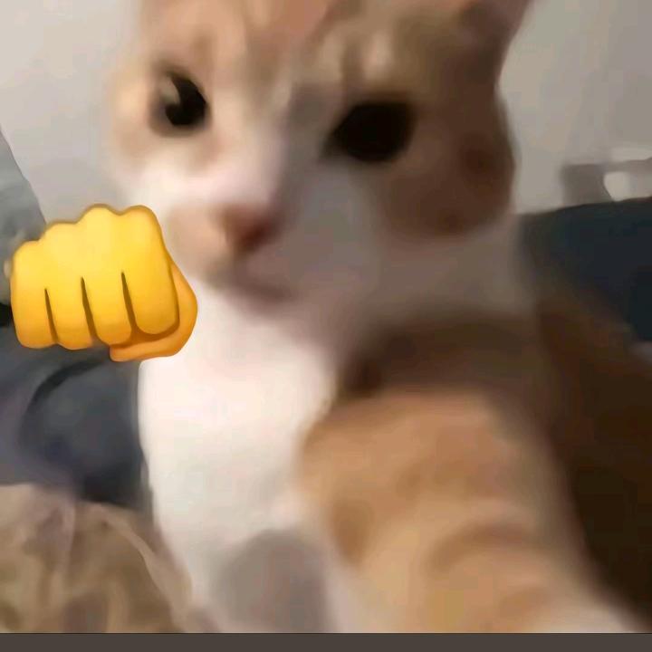 吧吧嘻
