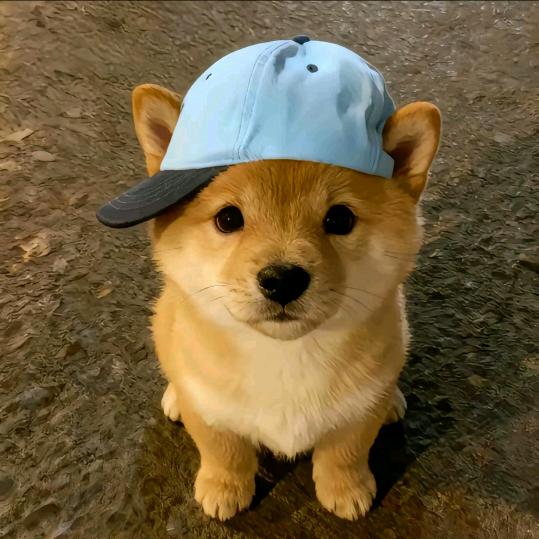 覆水难收🦔