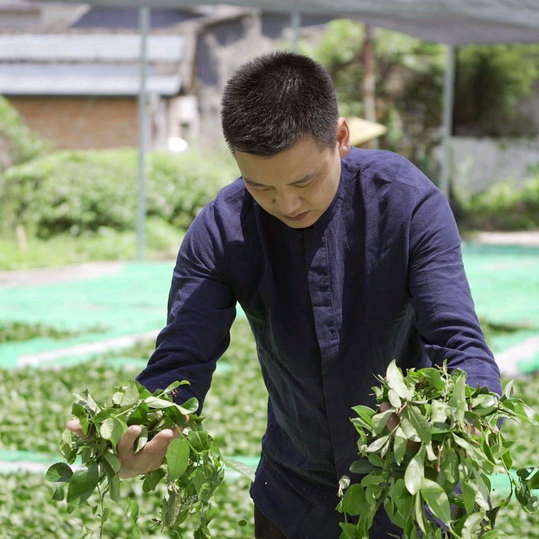 老章的茶生活