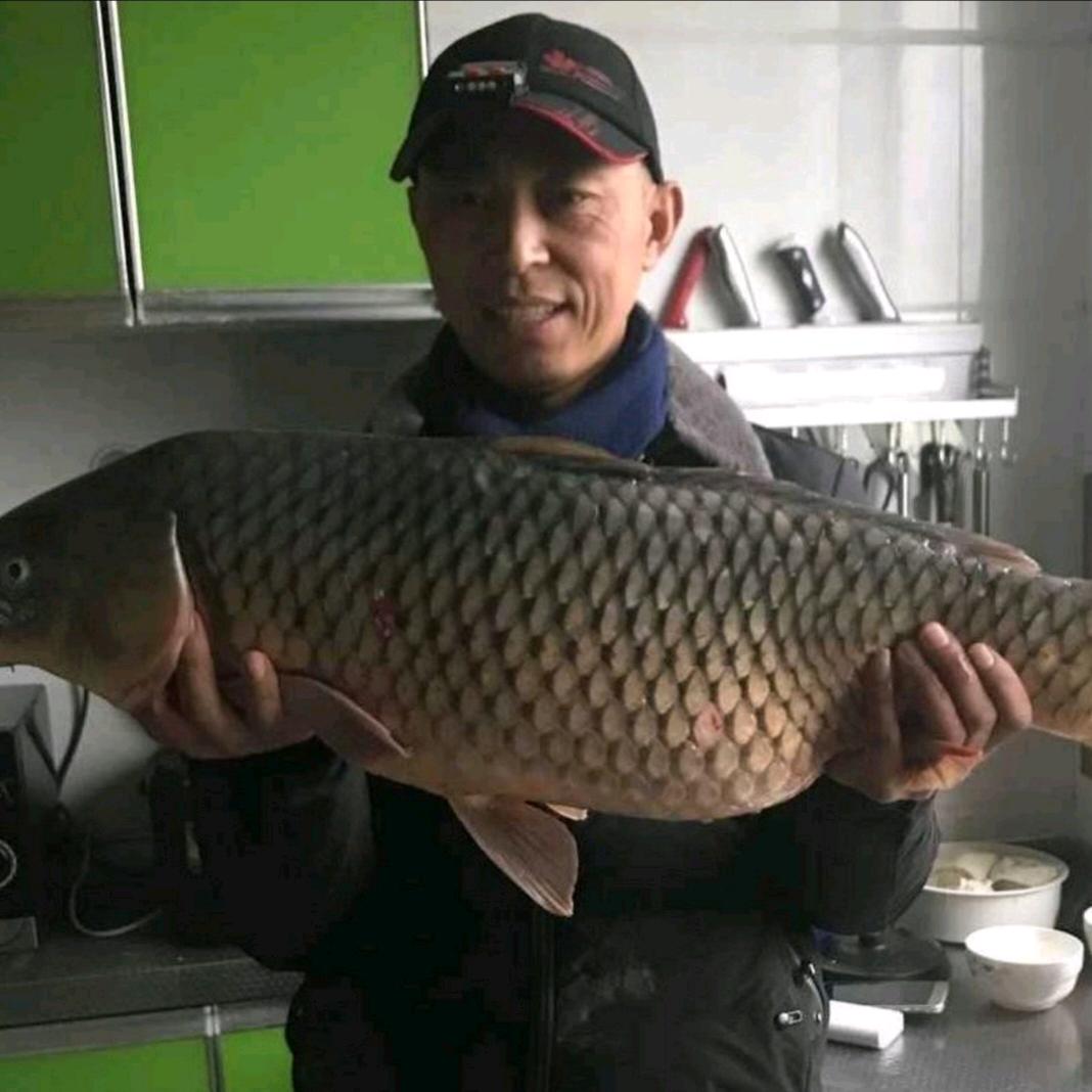 钓鱼音乐与我相伴