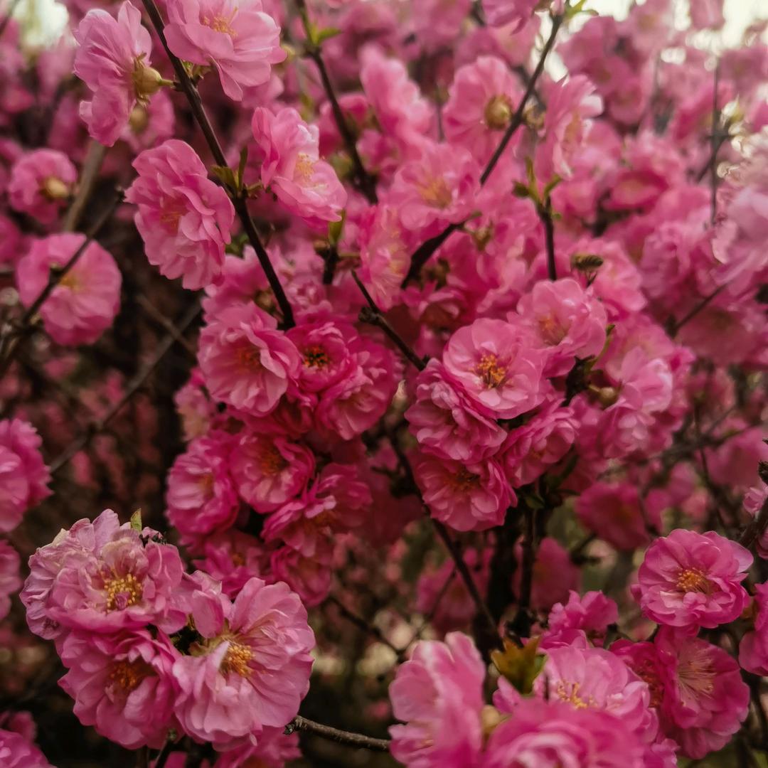 芳儿🥰