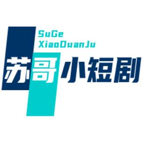 苏哥零食