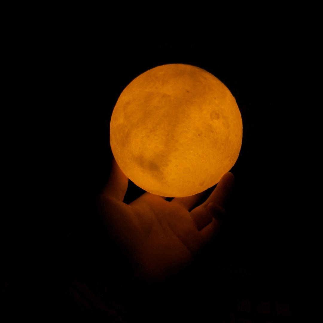 不感恩泽单身一辈子