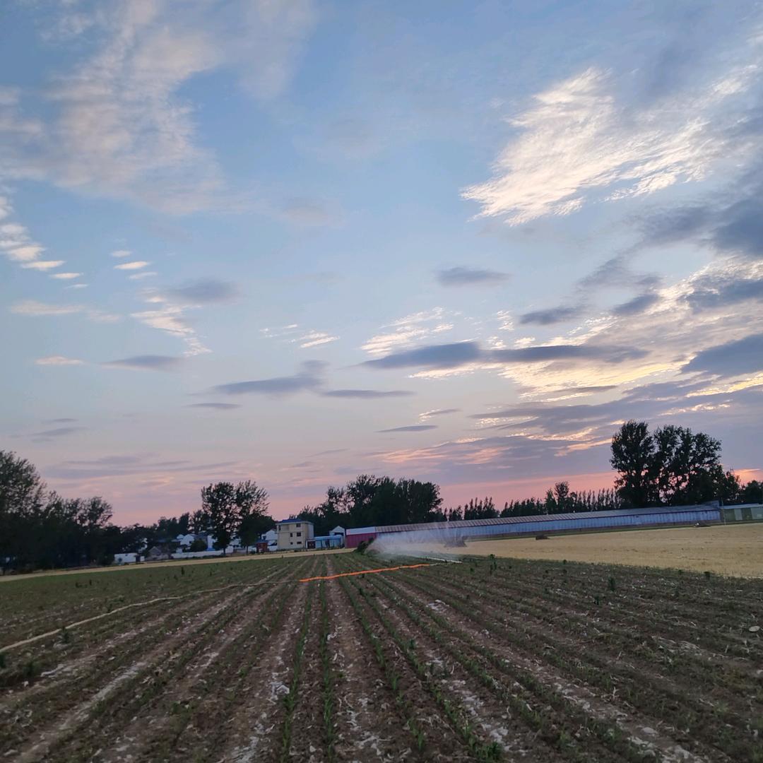 不负好时光🌹🌹🌻🌻🌺🌺