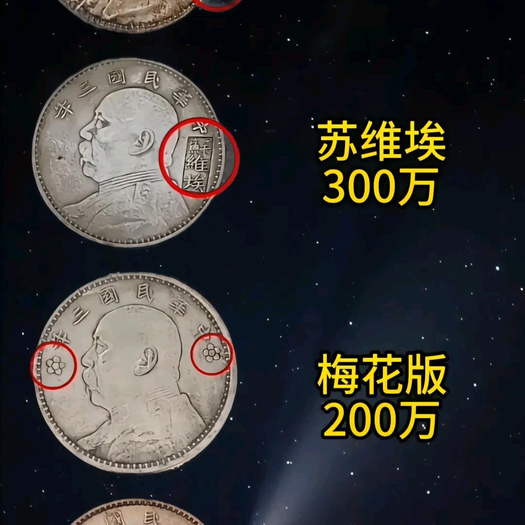 快去安静的看世界