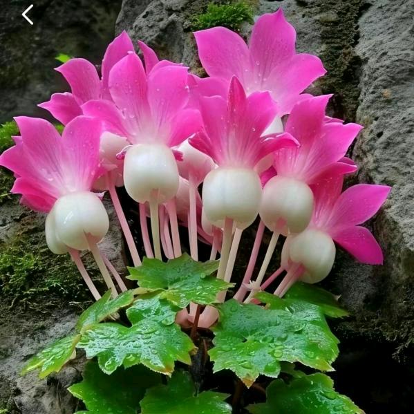 来生做一个绝情的人