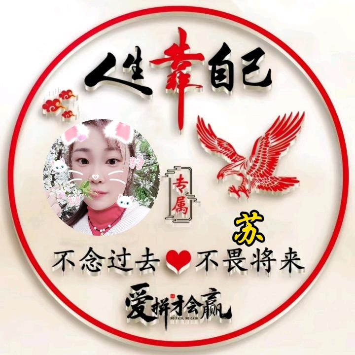 💞💰⃟心有ᩚ᭄所苏ᦸᐝ࿐🐷✈️