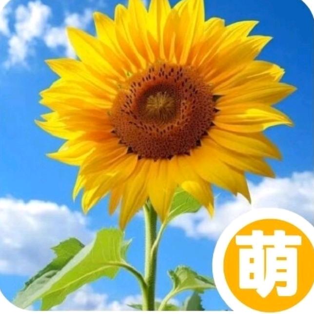 （☀️萋萋暮雪🌨🌨❄️🌟💫🌛