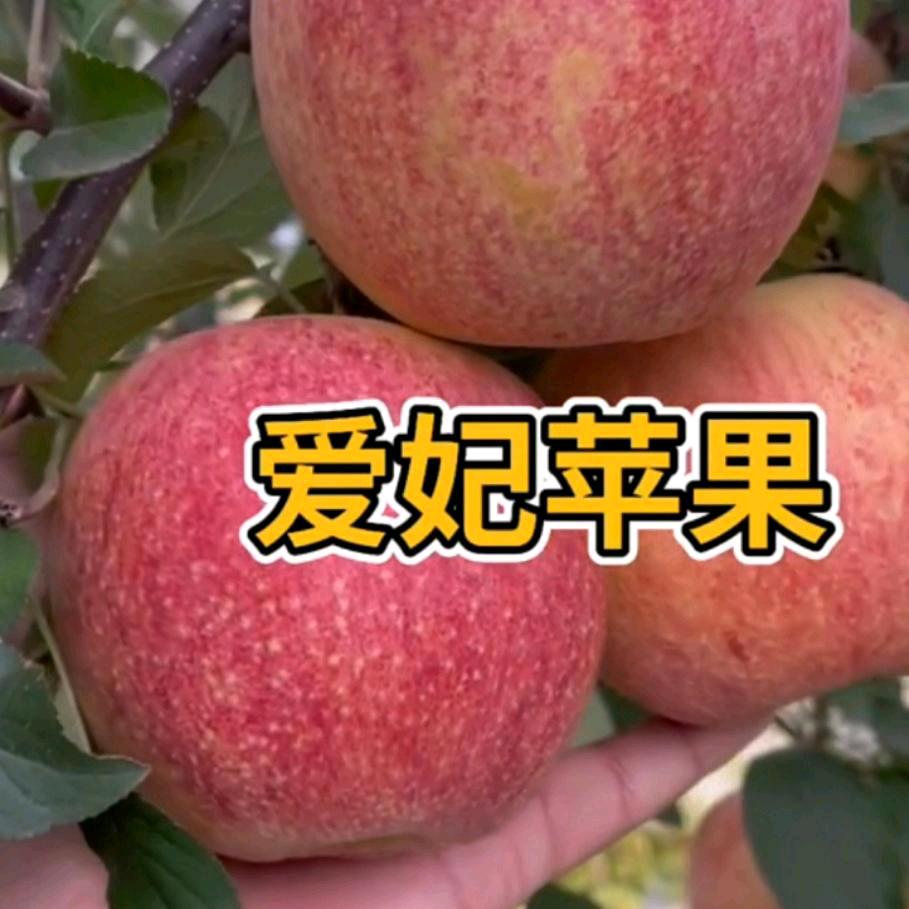 ❤️奔跑的蜗牛❤️