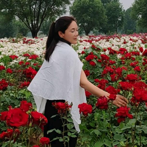 我，沈女士