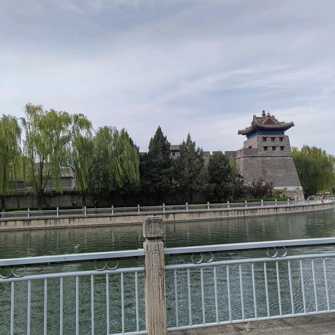 北京陪同幸运草