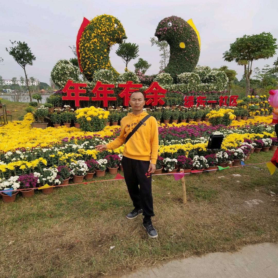 罗大叔（取关随意）