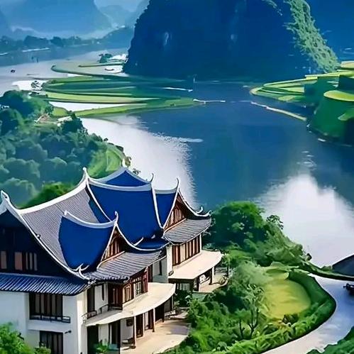 小龙追剧