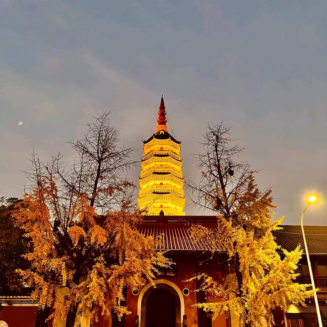 胆小哥