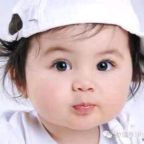 187220974（英）